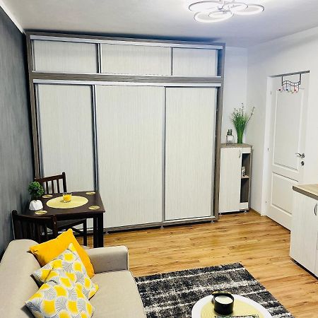 S&S Apartment Studio At Ground Floor Timisoara Town !!! Parcare La Locatie !! ภายนอก รูปภาพ
