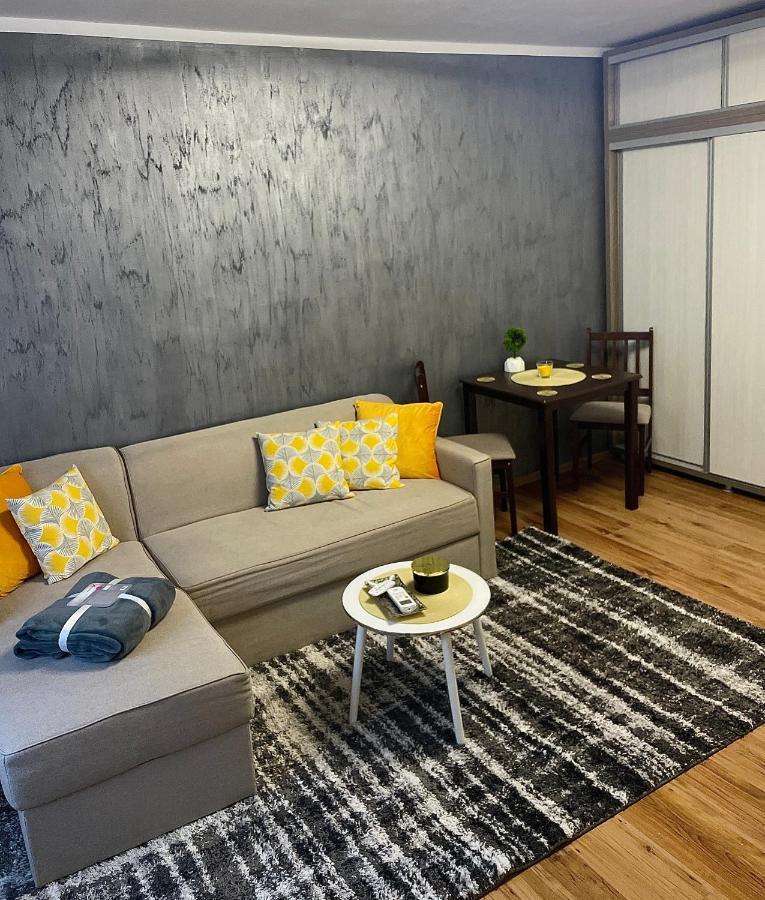 S&S Apartment Studio At Ground Floor Timisoara Town !!! Parcare La Locatie !! ภายนอก รูปภาพ