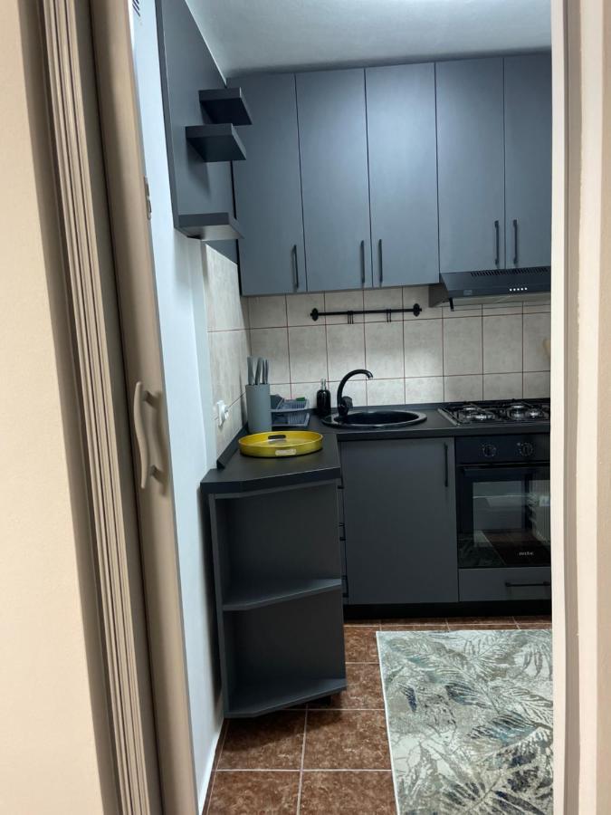 S&S Apartment Studio At Ground Floor Timisoara Town !!! Parcare La Locatie !! ภายนอก รูปภาพ