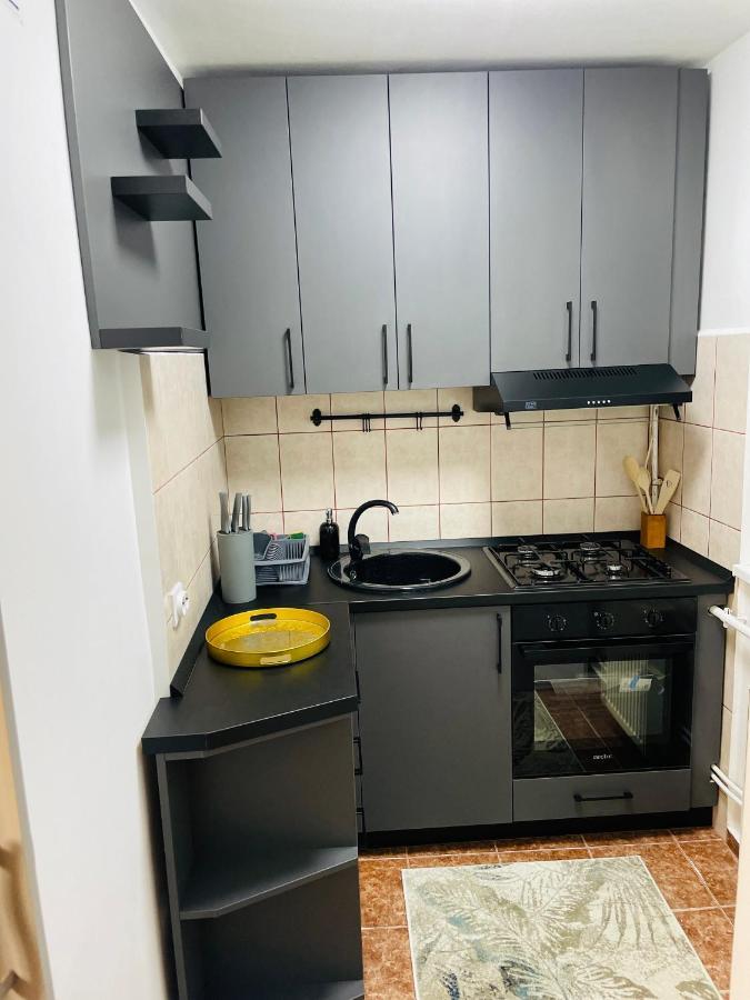 S&S Apartment Studio At Ground Floor Timisoara Town !!! Parcare La Locatie !! ภายนอก รูปภาพ