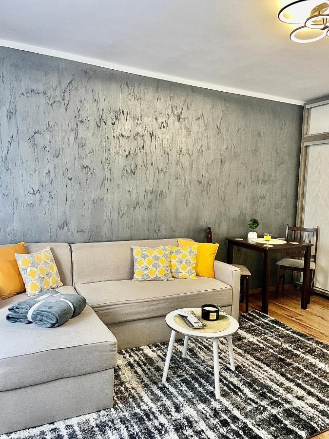 S&S Apartment Studio At Ground Floor Timisoara Town !!! Parcare La Locatie !! ภายนอก รูปภาพ
