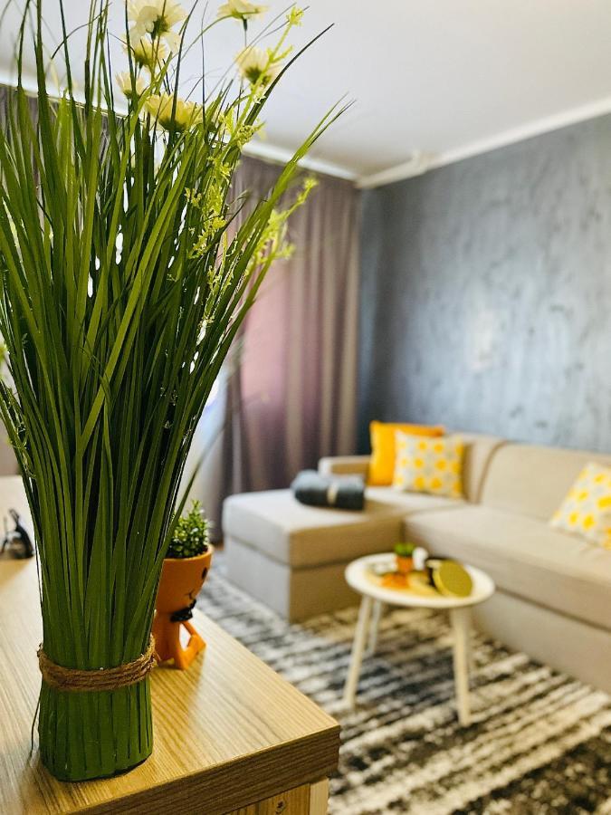 S&S Apartment Studio At Ground Floor Timisoara Town !!! Parcare La Locatie !! ภายนอก รูปภาพ