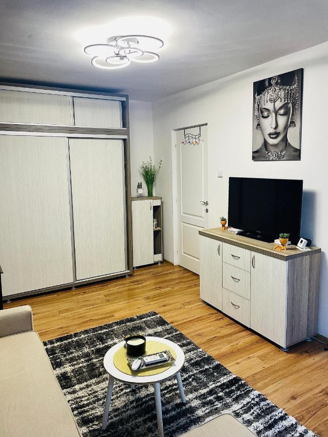 S&S Apartment Studio At Ground Floor Timisoara Town !!! Parcare La Locatie !! ภายนอก รูปภาพ