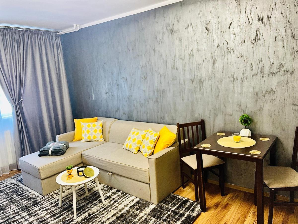 S&S Apartment Studio At Ground Floor Timisoara Town !!! Parcare La Locatie !! ภายนอก รูปภาพ