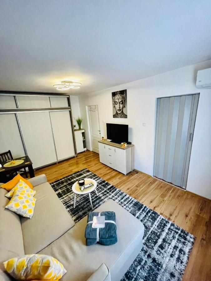 S&S Apartment Studio At Ground Floor Timisoara Town !!! Parcare La Locatie !! ภายนอก รูปภาพ
