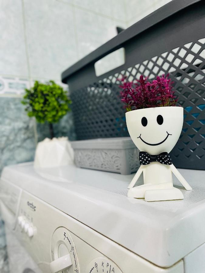 S&S Apartment Studio At Ground Floor Timisoara Town !!! Parcare La Locatie !! ภายนอก รูปภาพ