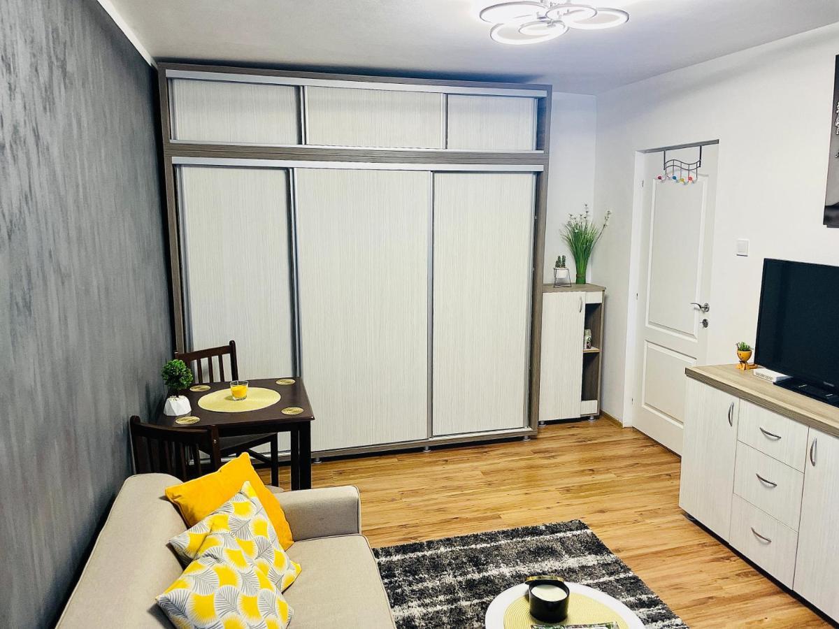 S&S Apartment Studio At Ground Floor Timisoara Town !!! Parcare La Locatie !! ภายนอก รูปภาพ