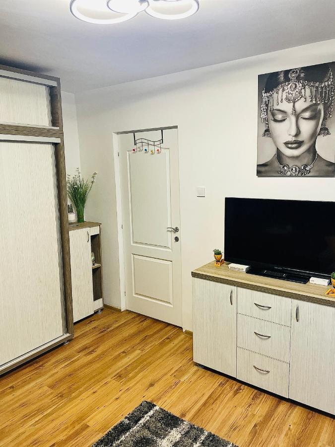 S&S Apartment Studio At Ground Floor Timisoara Town !!! Parcare La Locatie !! ภายนอก รูปภาพ