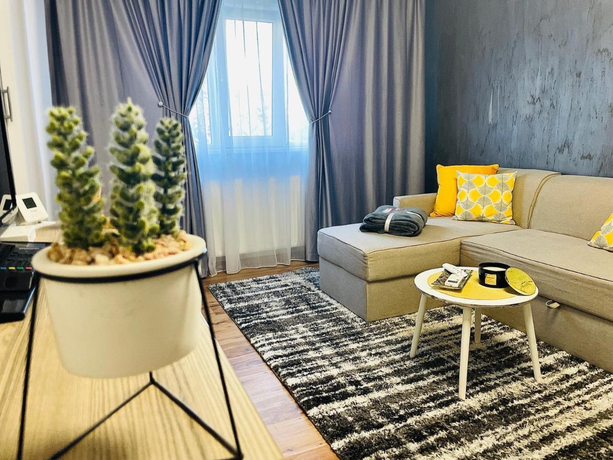 S&S Apartment Studio At Ground Floor Timisoara Town !!! Parcare La Locatie !! ภายนอก รูปภาพ
