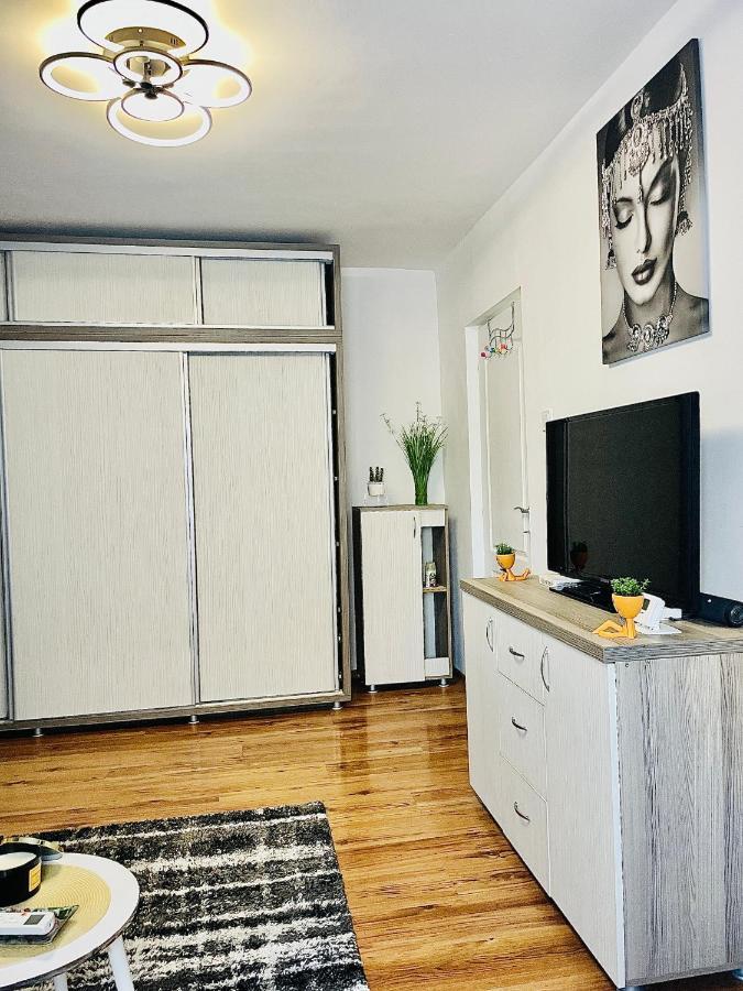 S&S Apartment Studio At Ground Floor Timisoara Town !!! Parcare La Locatie !! ภายนอก รูปภาพ