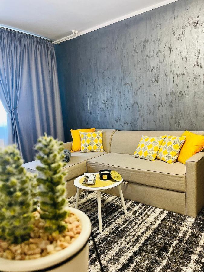 S&S Apartment Studio At Ground Floor Timisoara Town !!! Parcare La Locatie !! ภายนอก รูปภาพ